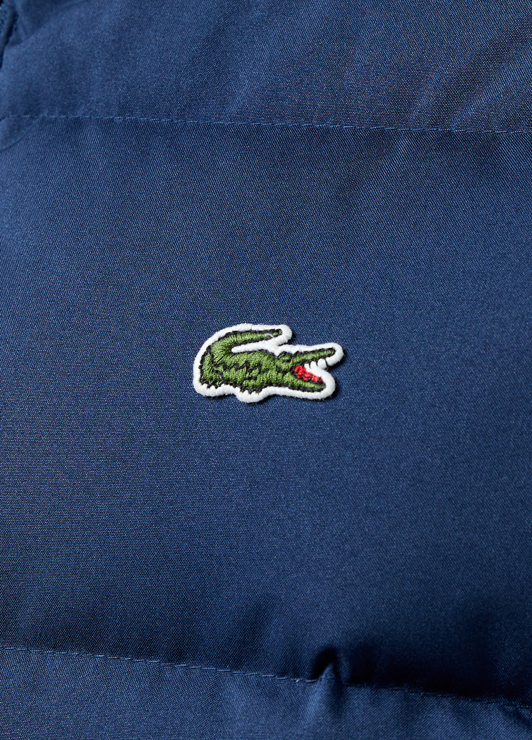 Жилет Lacoste (329694423)