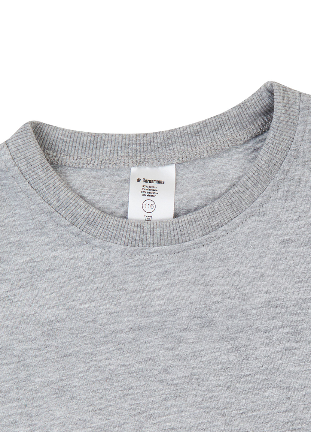 Світло-сіра демісезонна футболка Garnamama