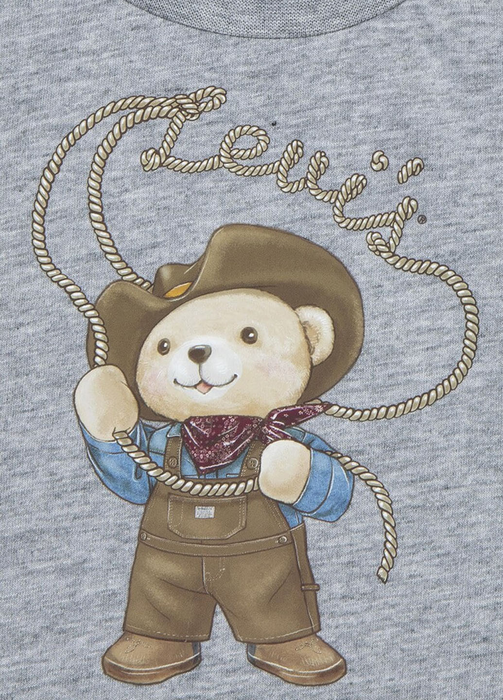 Сіро-синій демісезонний комплект (світшот, джинси) Levi's