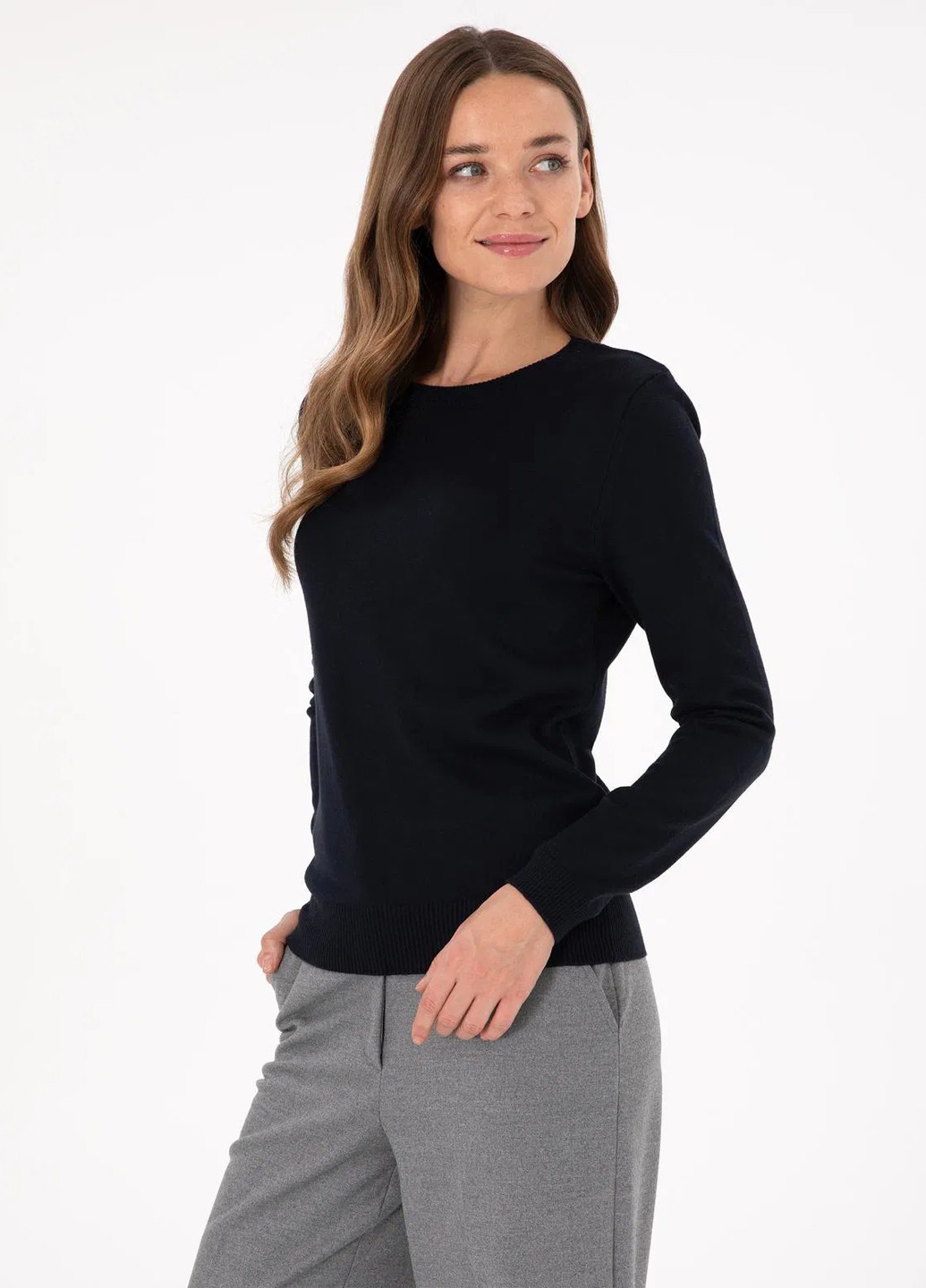 Темно-синій демісезонний джемпер джемпер Pierre Cardin