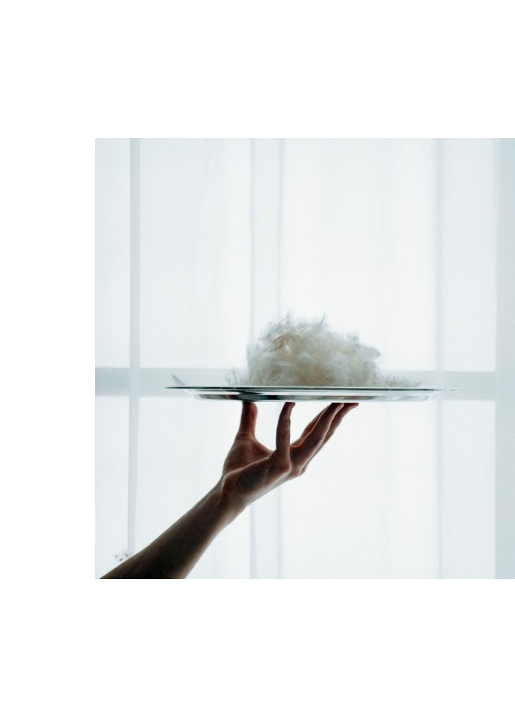 Одеяло пуховое Raffaello 063 зима+ 155х215 см (2200000075116) Mirson (254072476)