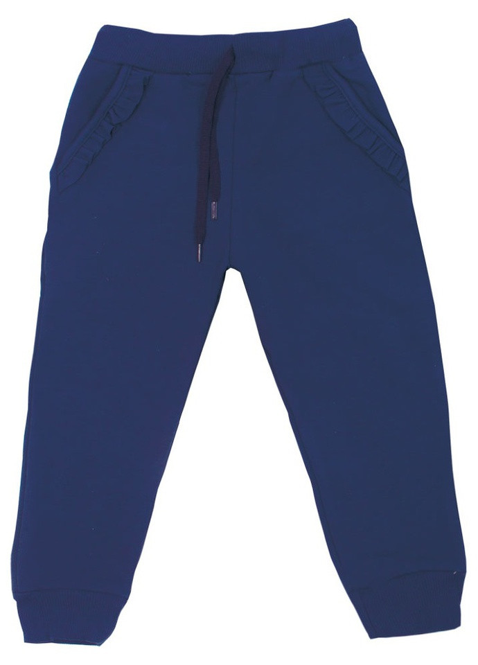 Темно-синие спортивные демисезонные брюки Габби