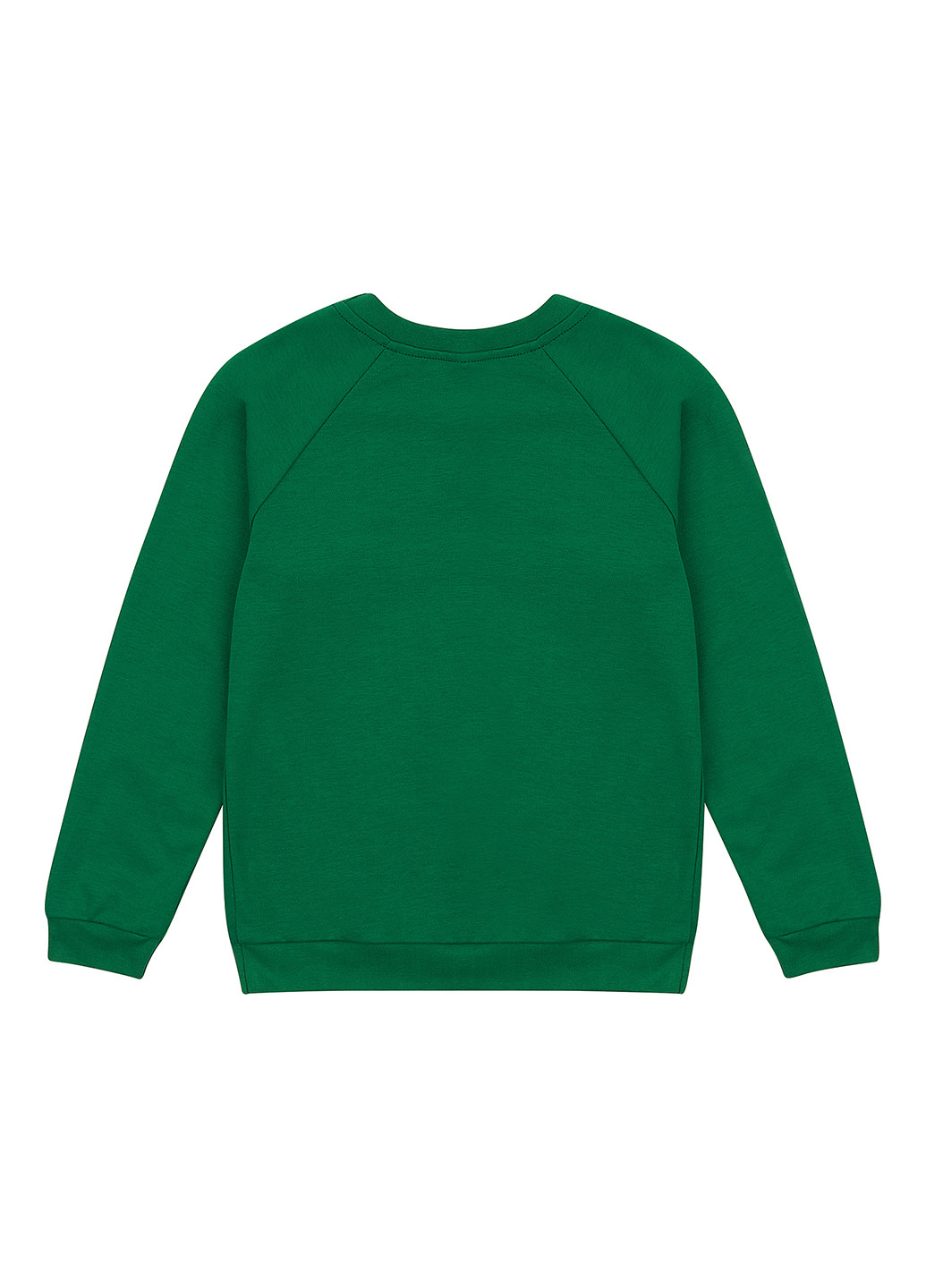 Garnamama свитшот рисунок зеленый кэжуал хлопок, интерлок