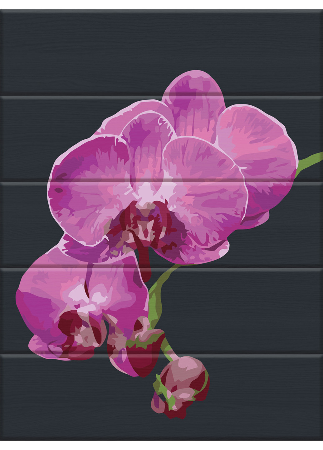 Картина за номерами на дереві "Оксамитна орхідея" 30х40 см ArtStory (252133676)
