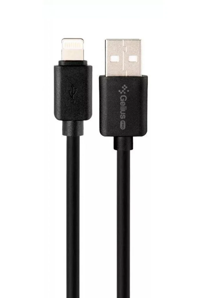 Зарядное устройство Pro Avangard GP-HC06 2USB 2.4A + Cable iPhone X Black (00000075587) Gelius (216637867)