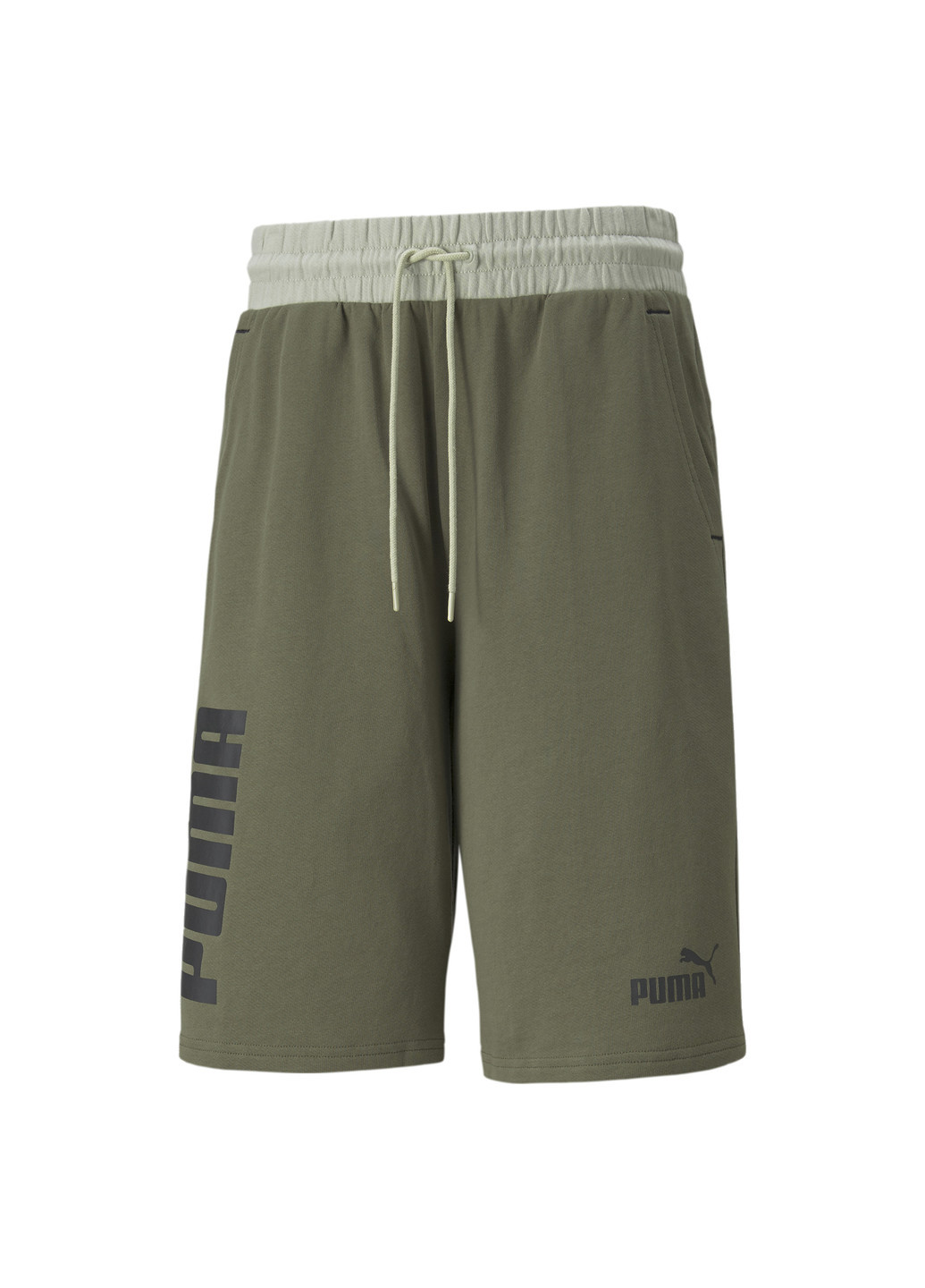 Шорты Power Colourblocked Men's Shorts Puma (253643984)