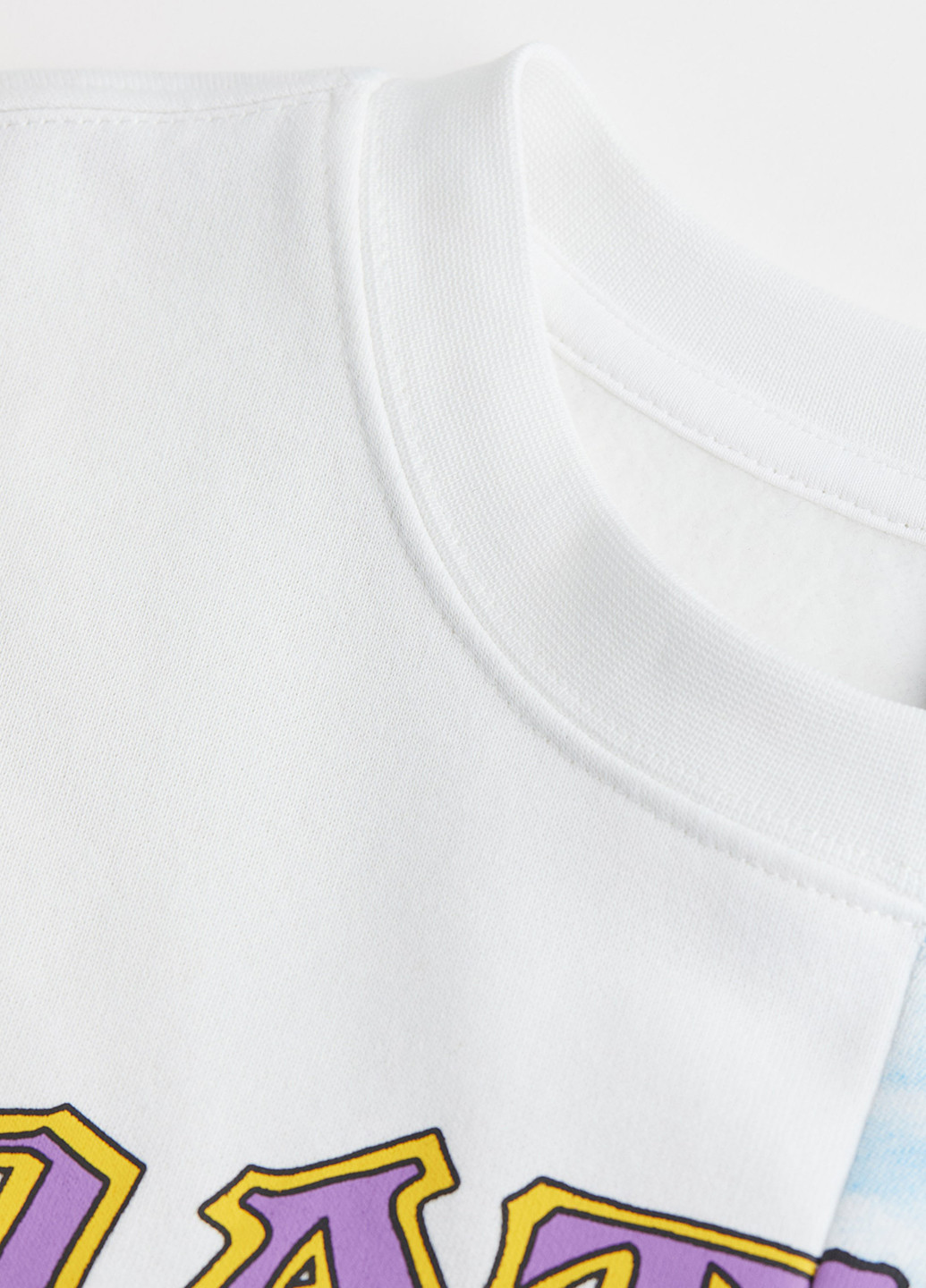 Білий світшот H&M череп без декору (361285744)