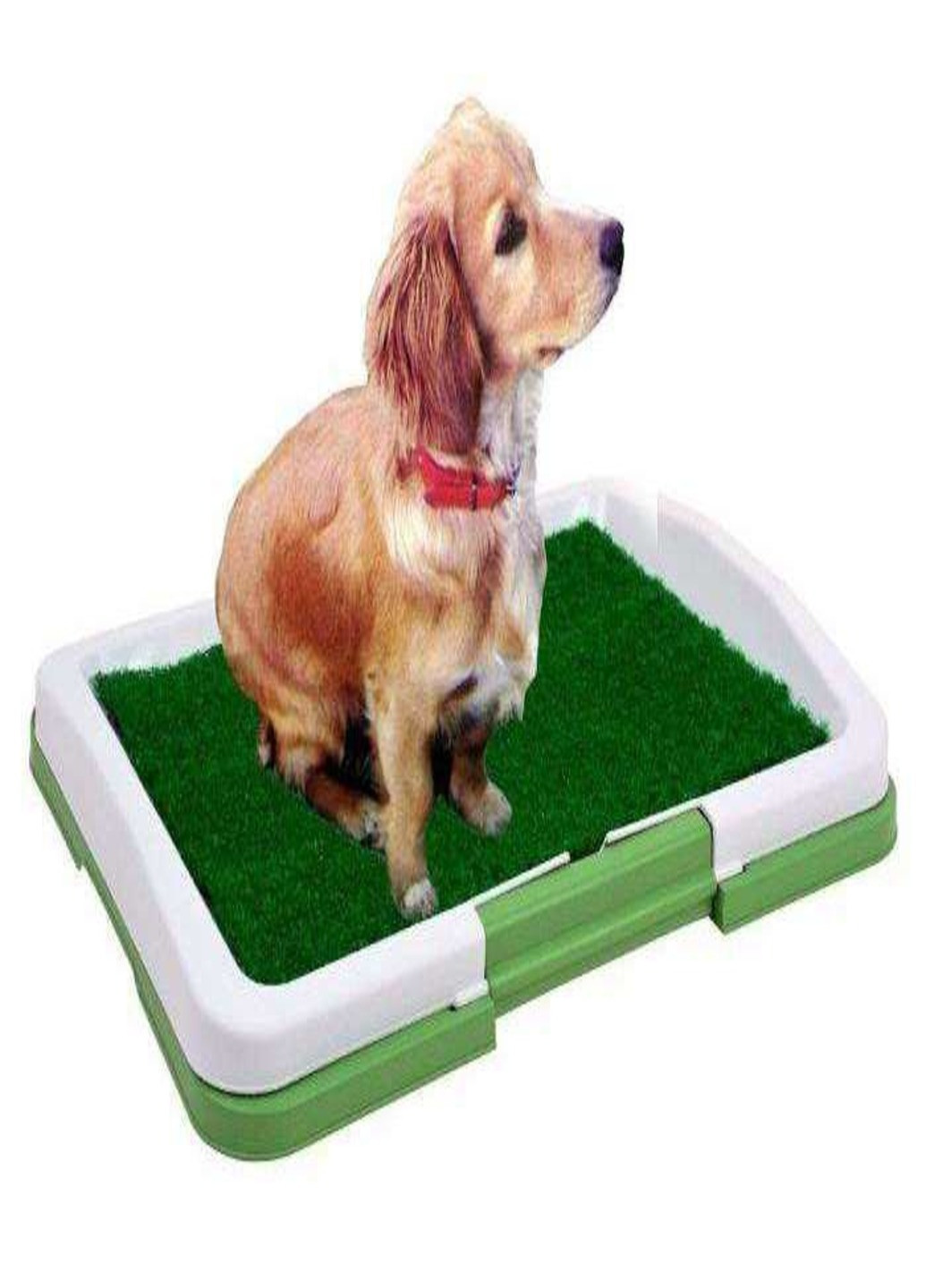 Туалет для собак Puppy Potty Pad 47х34х6см (3 уровня)(567902-В) Francesco Marconi (230586647)
