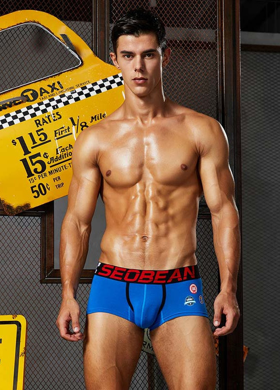 Труси чоловічі Seobean (250540949)
