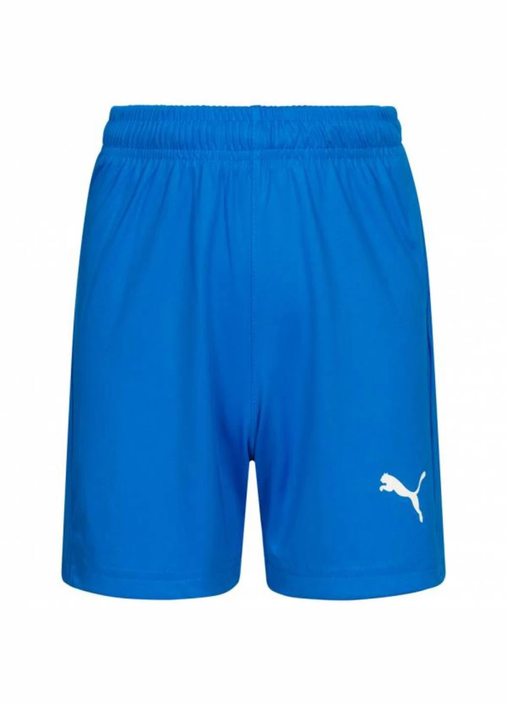 Шорты 703437-02 Puma Liga Core Blue (342716369)