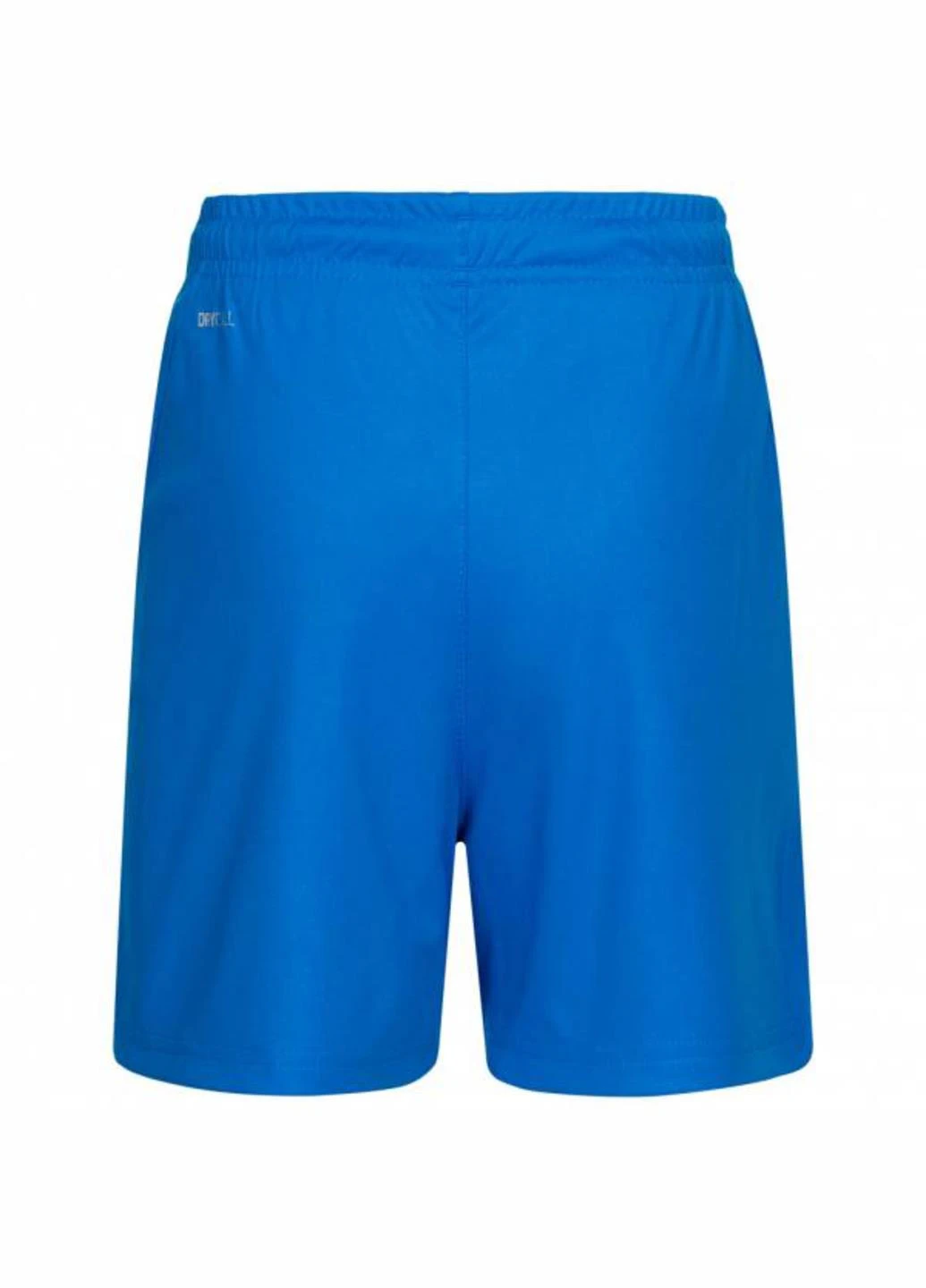 Шорты 703437-02 Puma Liga Core Blue (342716369)