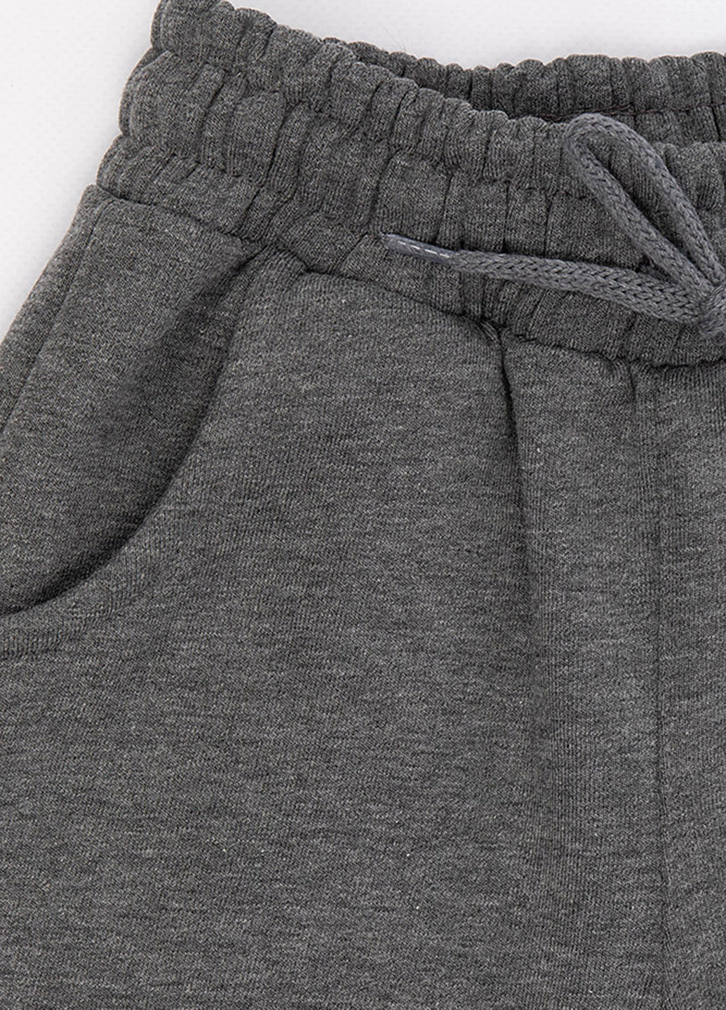 Темно-серые спортивные зимние брюки джоггеры Joi Kids