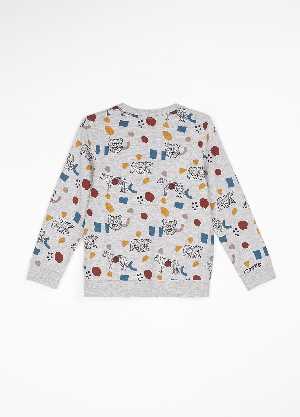 Coccodrillo свитшот рисунок серый кэжуал хлопок, трикотаж