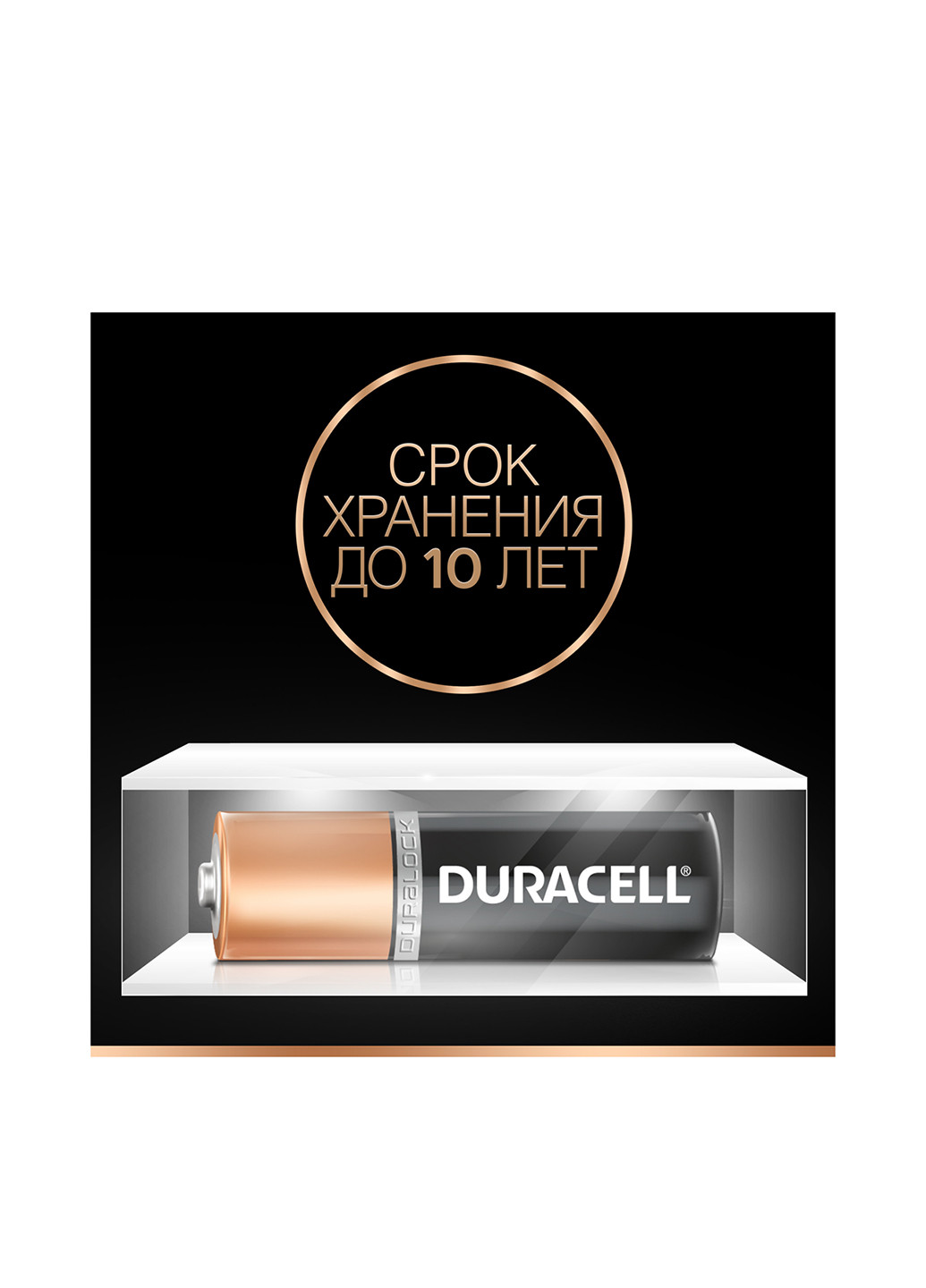 Батарейки Basic AA алкалінові 1.5V LR6 (8 шт.) Duracell (13141737)