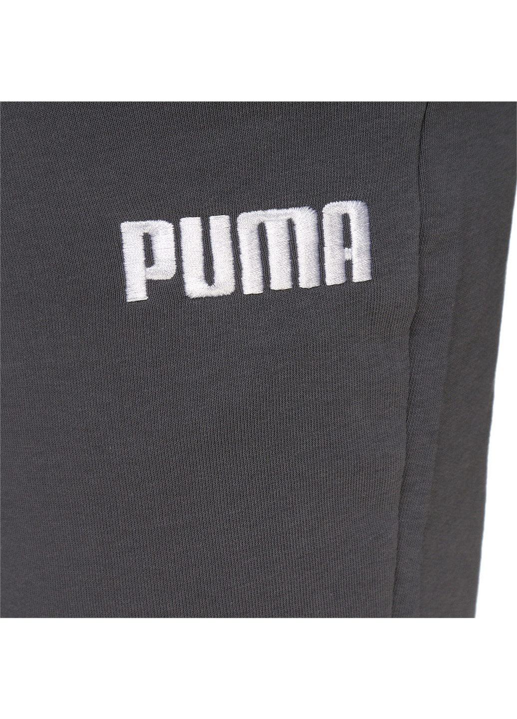 Серые спортивные демисезонные брюки Puma