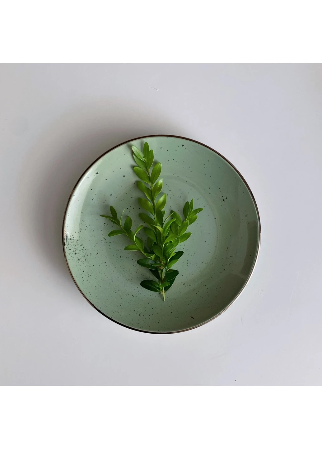 Столовий сервіз Bagheria Pastel Green Ardesto (254453742)
