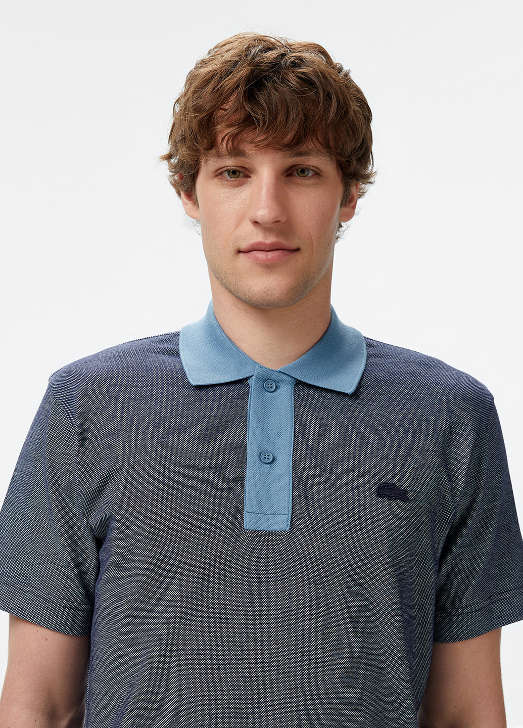 Поло Lacoste (363619757)