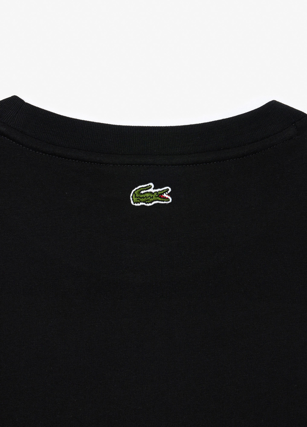 Футболка Lacoste - (363646816)