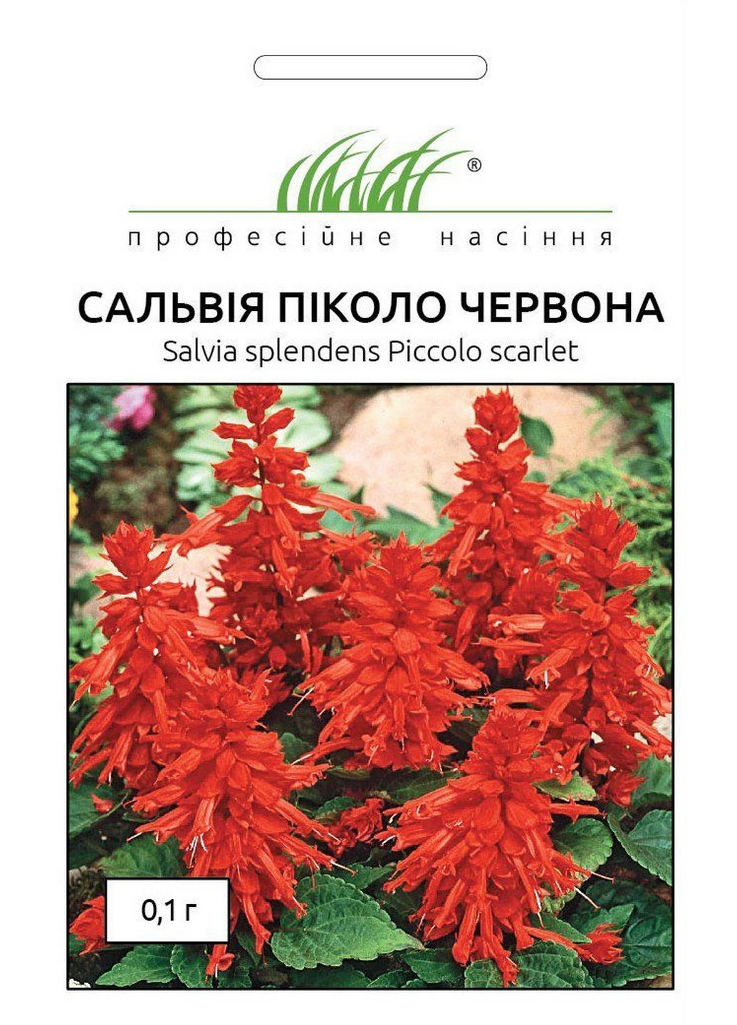 Семена Шалфей Пиколо красный 0,1 г Професійне насіння (215963604)