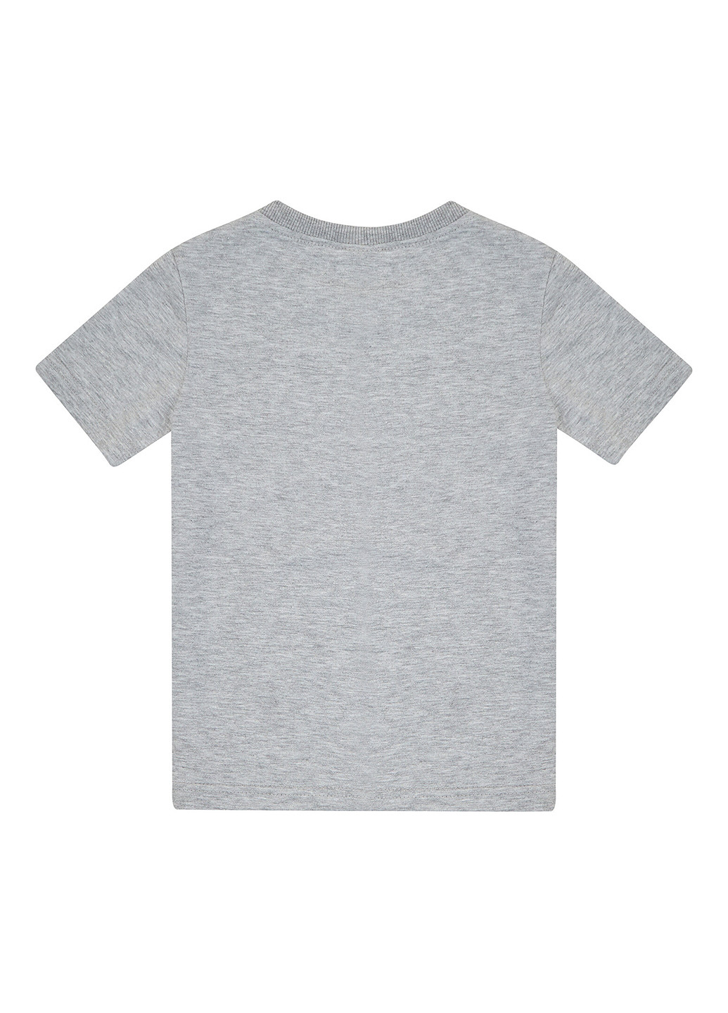 Сіра літня футболка Garnamama