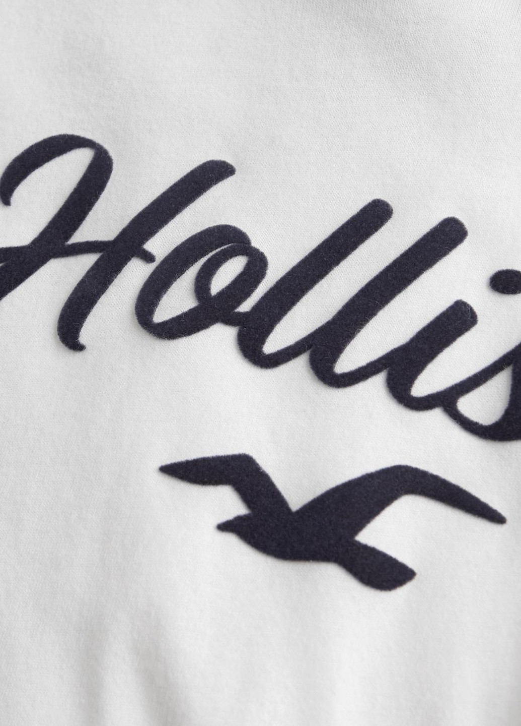 Худі Hollister (184607220)