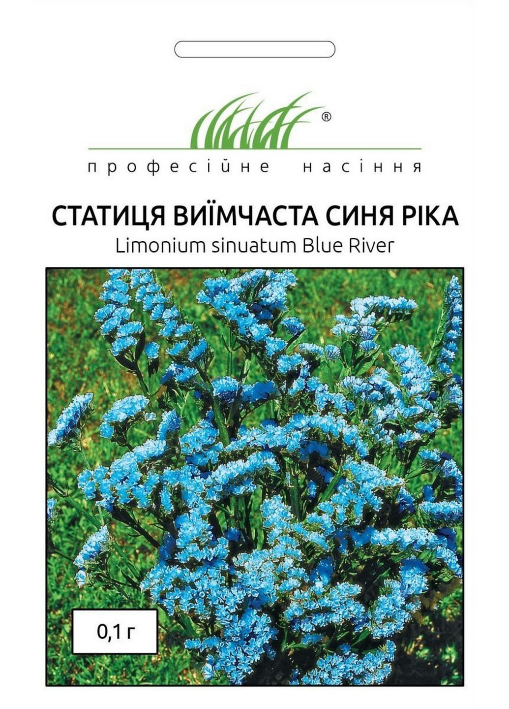Насіння Статиця виїмчаста Синя Річка 0,1 г Професійне насіння (215963622)
