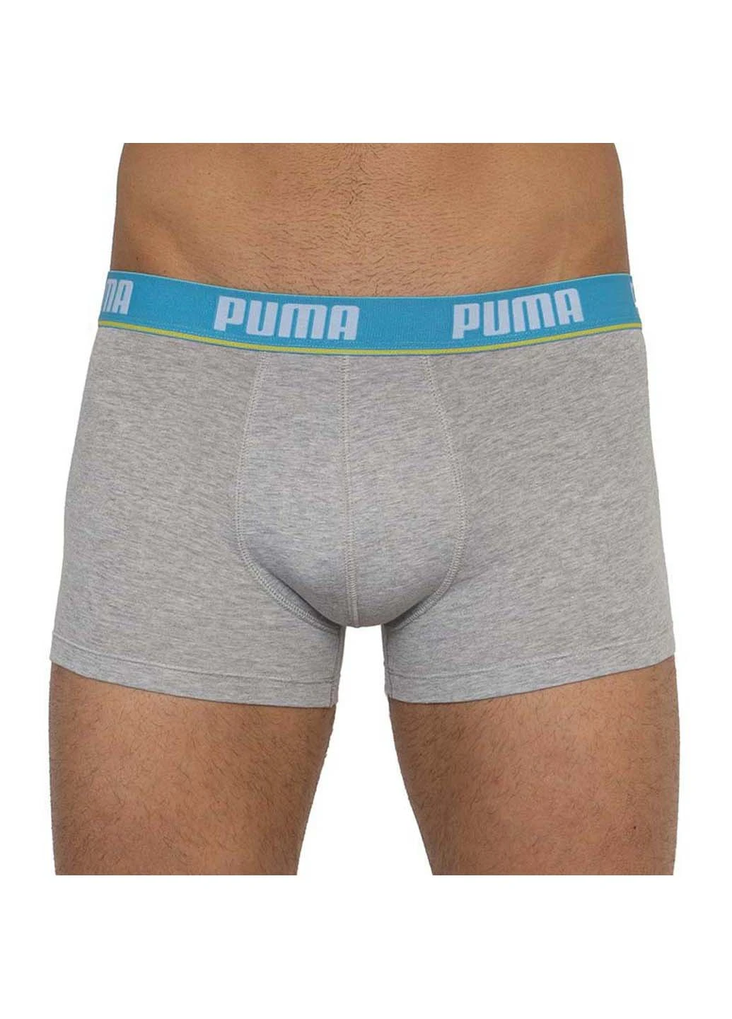 Трусы Puma Basic Trunk 2-pack (253792659)