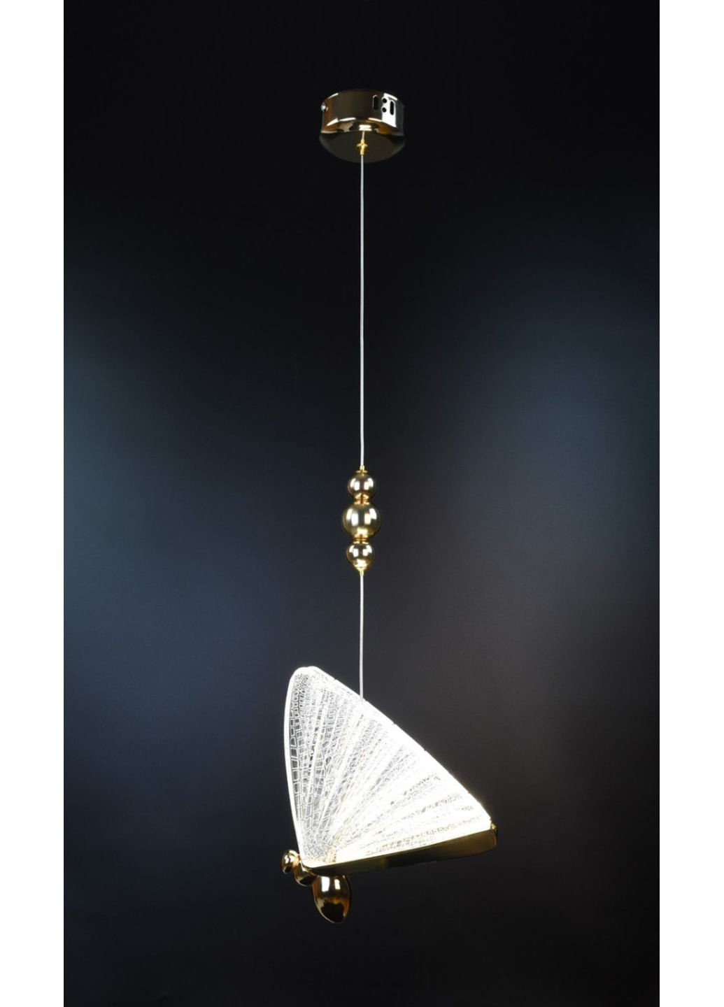 Люстра стельова LED CA02 Золото 30х22х16 див. Sunnysky (253629403)