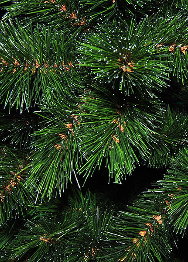 Искусственная сосна Forest Frosted зеленая с инеем 1,85 м (756770520339) Triumph Tree (203983178)