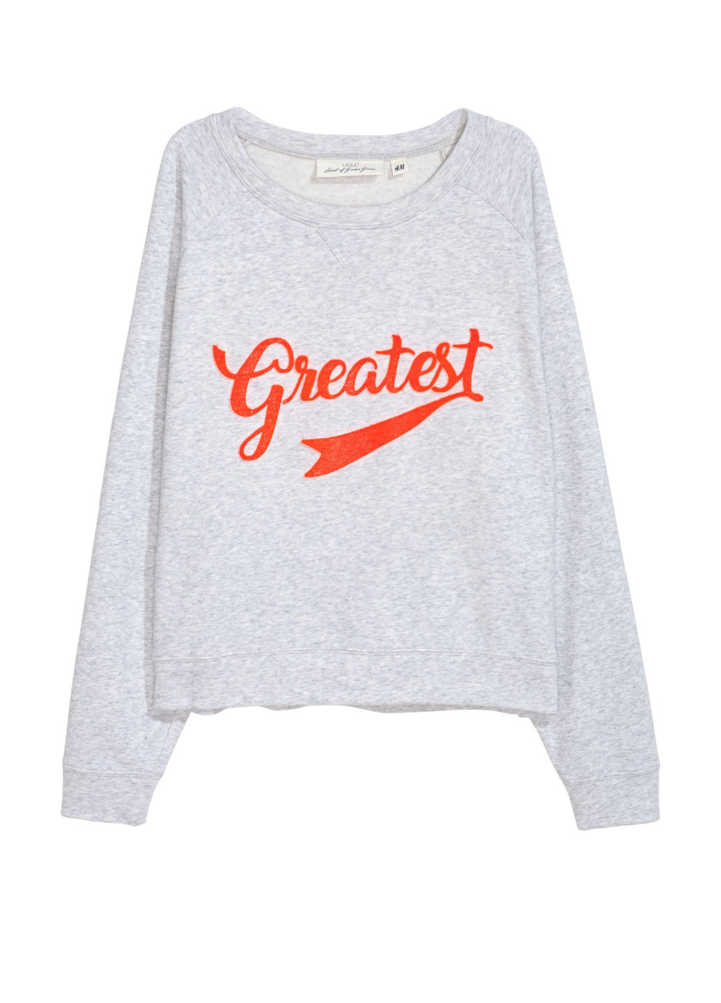 Светло-серый свитшот H&M надпись без декора (301914609)