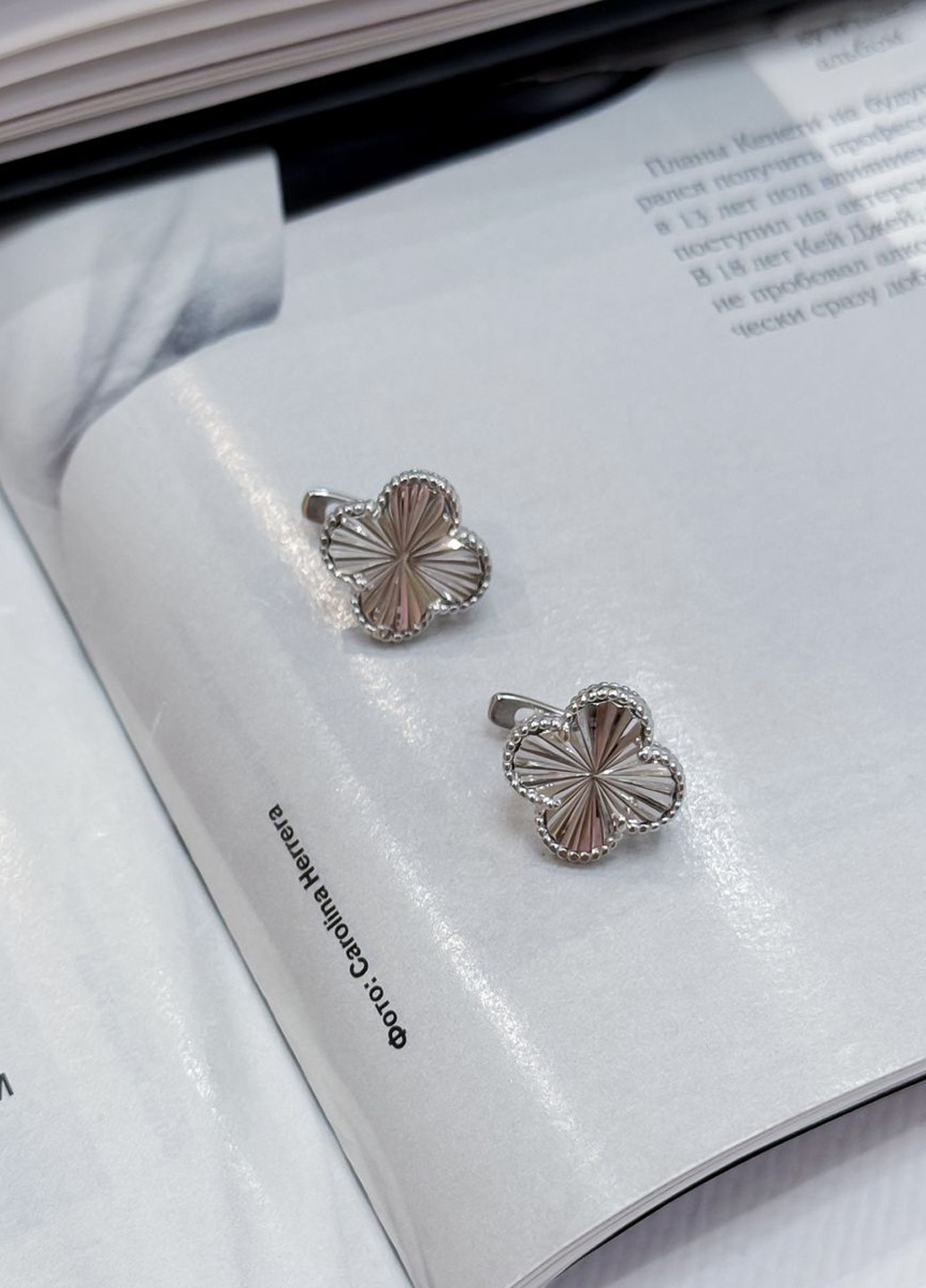 Сережки Silver Flame (307258572)