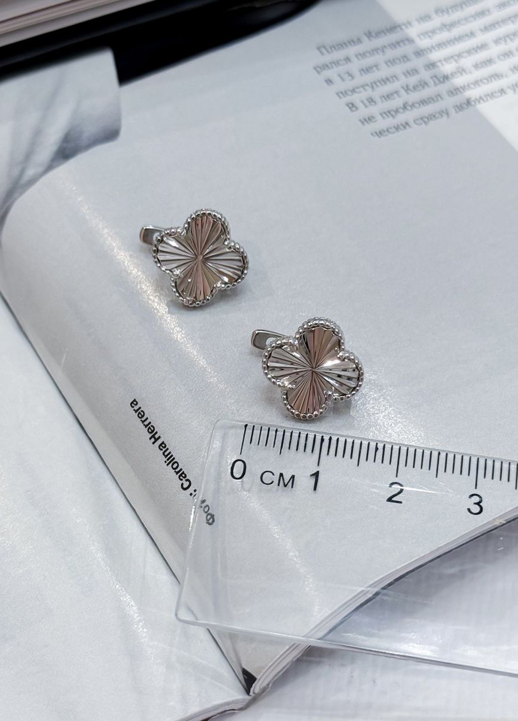 Сережки Silver Flame (307258572)