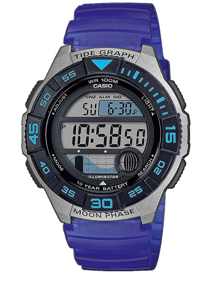 Часы наручные Casio WS-1100H-2AVEF (228201562)