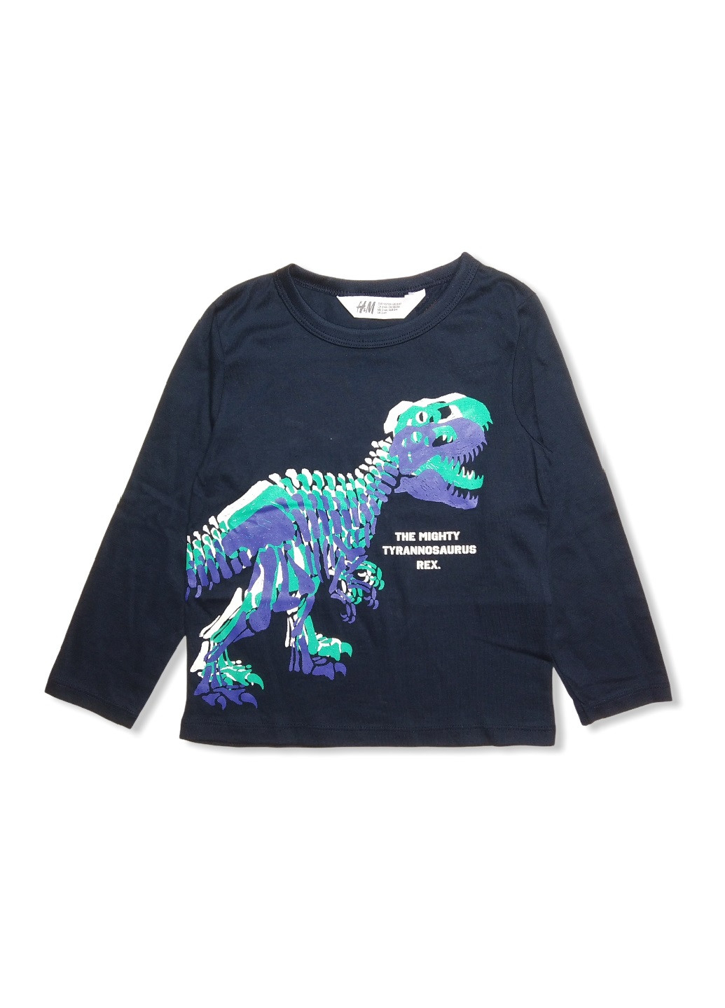 Темно-синий демисезонный кэжуал лонгслив H&M динозавр