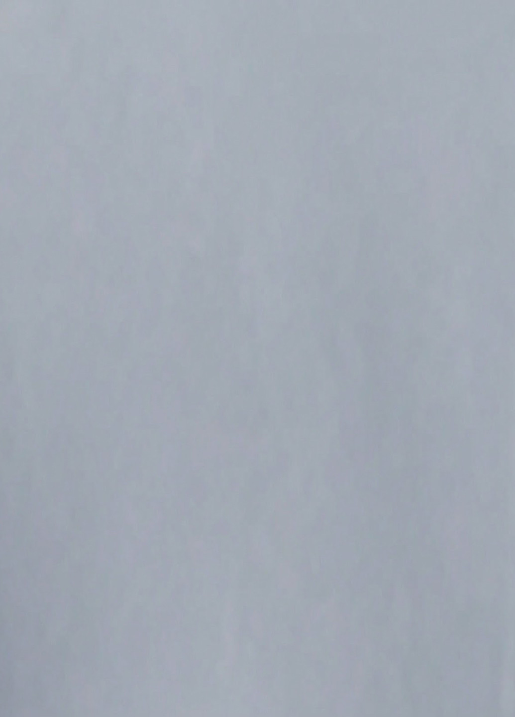 Жакет SHEIN (323778634)