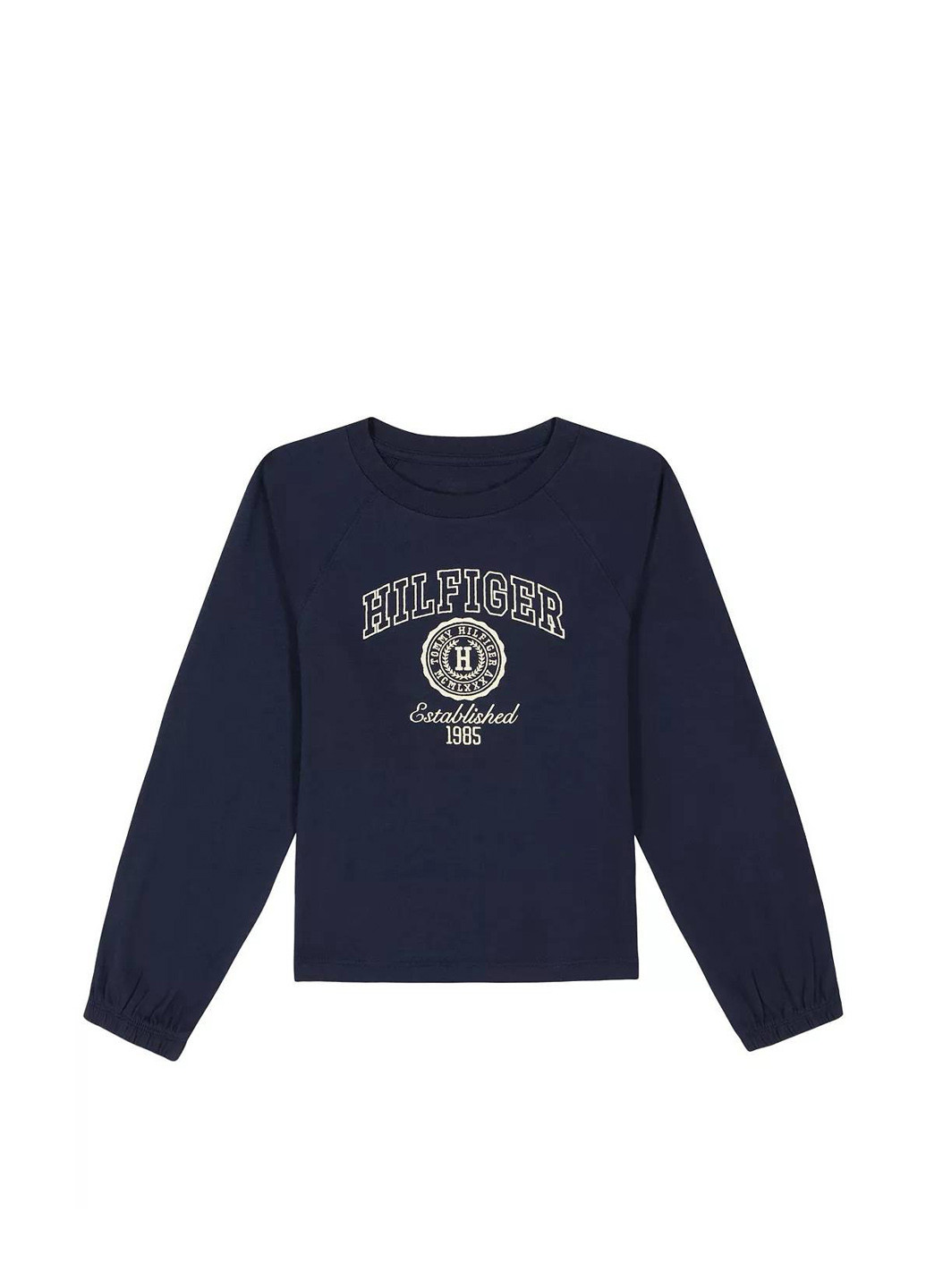 Синий демисезонный кэжуал лонгслив Tommy Hilfiger с надписями