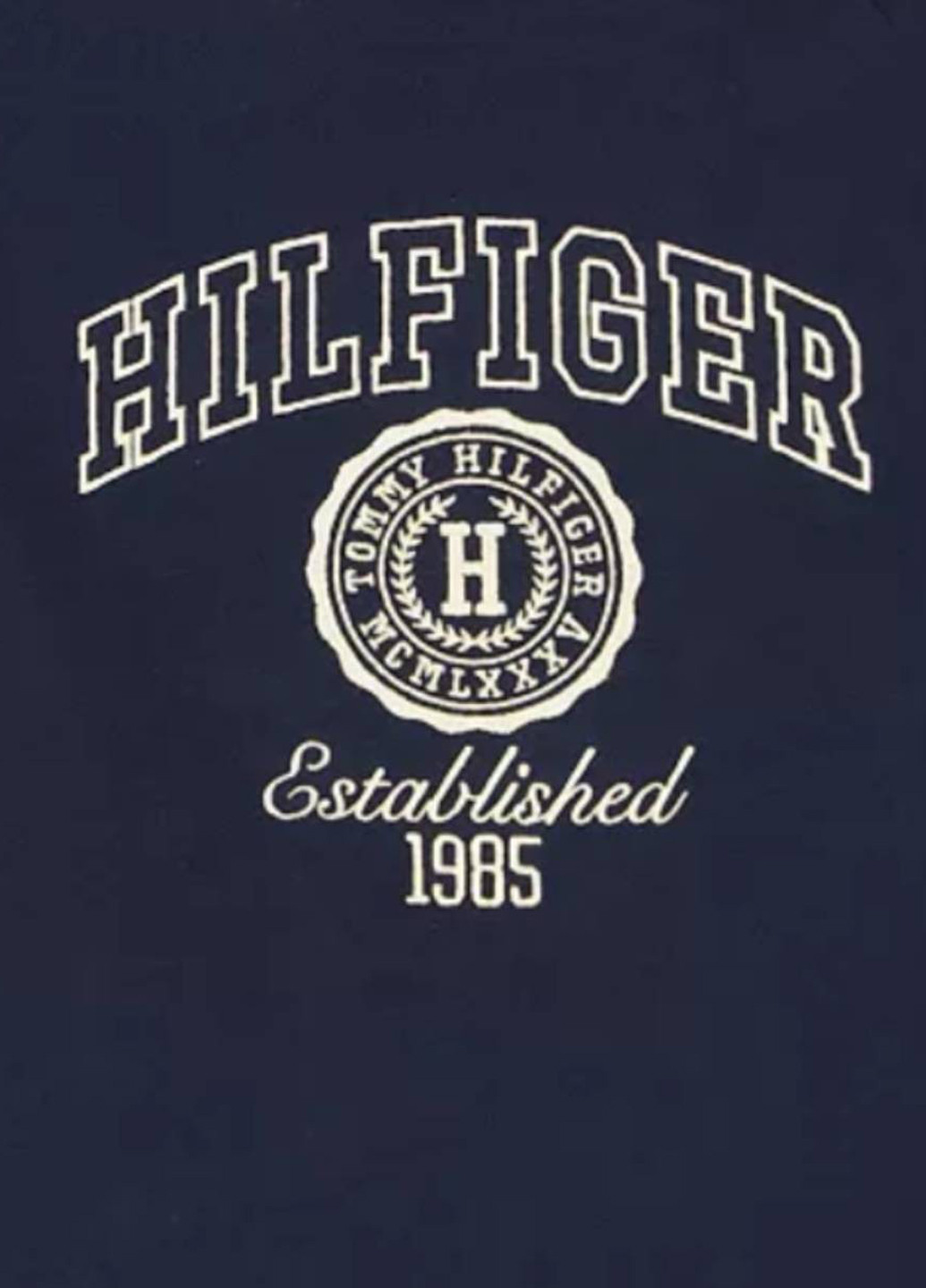 Синий демисезонный кэжуал лонгслив Tommy Hilfiger с надписями