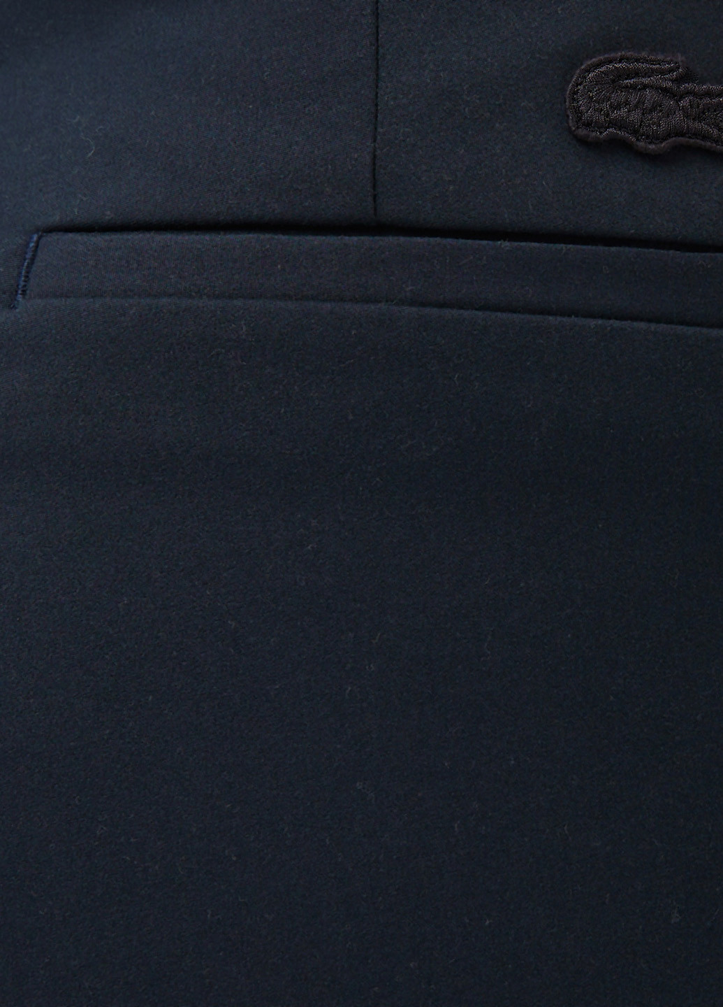 Брюки Lacoste (363646894)