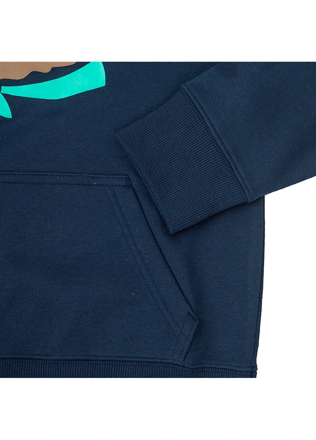 Кофта Basin Park Graphic Hoodie Columbia (254671467)