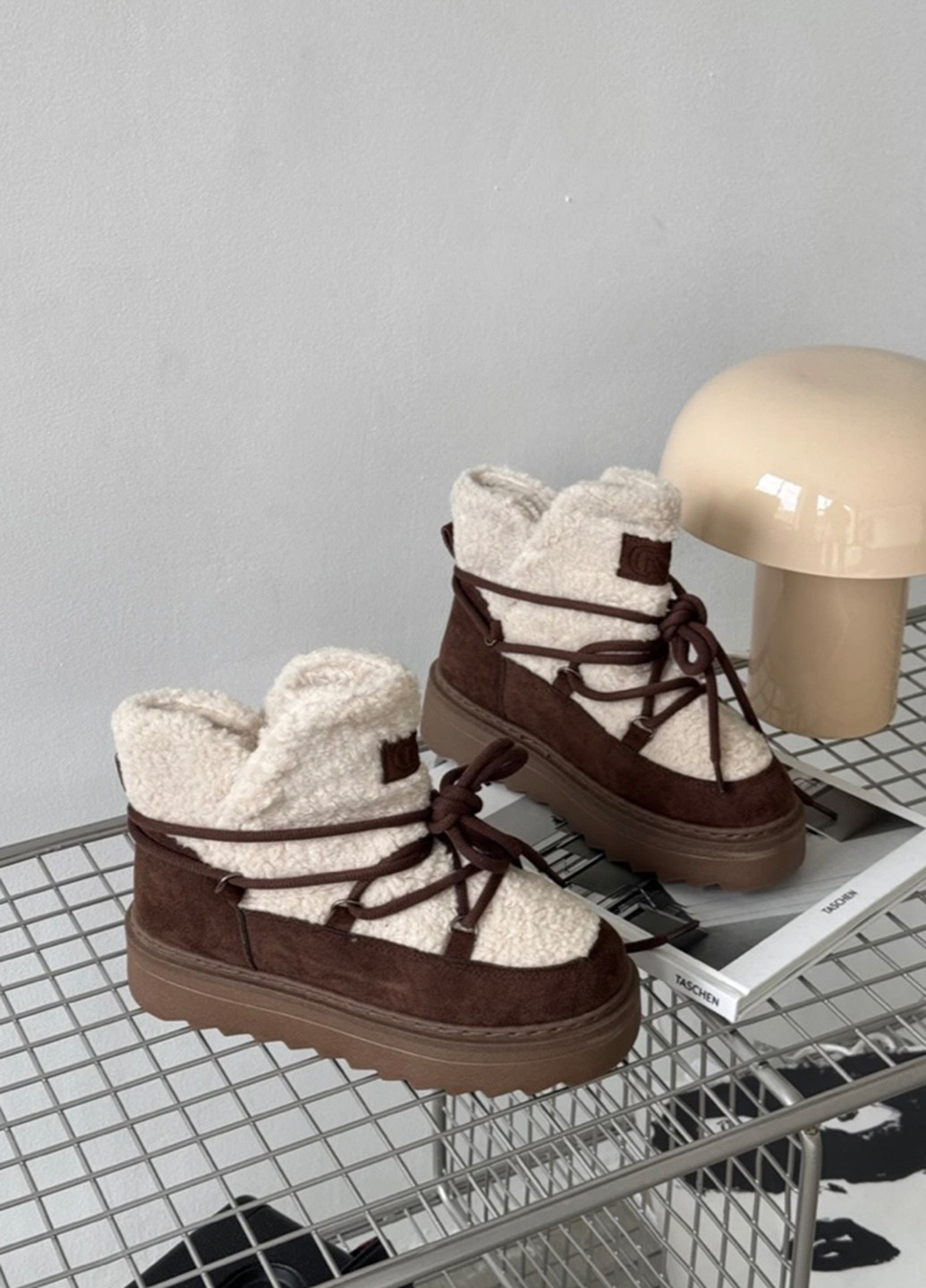 Місяцеходи Bashili (366167479)