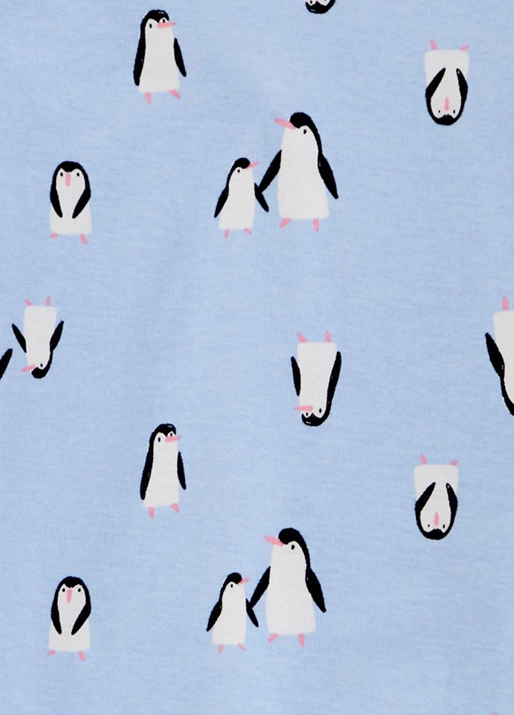 Голубая всесезон пижама (лонгслив, брюки) (2 шт.) лонгслив + брюки Carter's