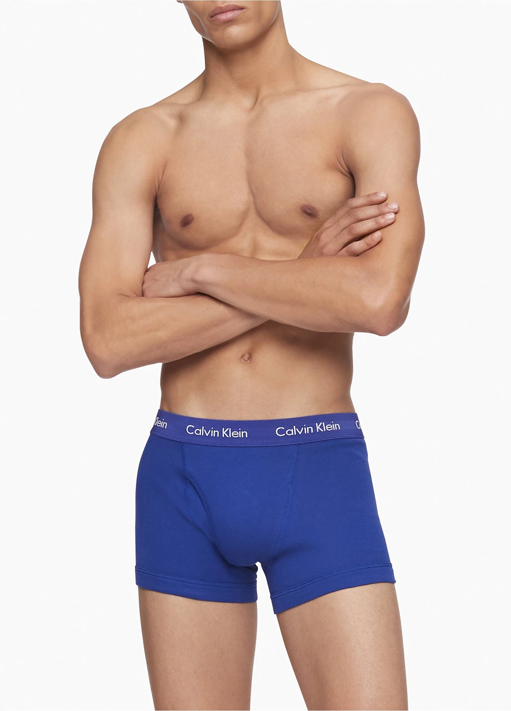 Труси (5 шт.) Calvin Klein (256797437)