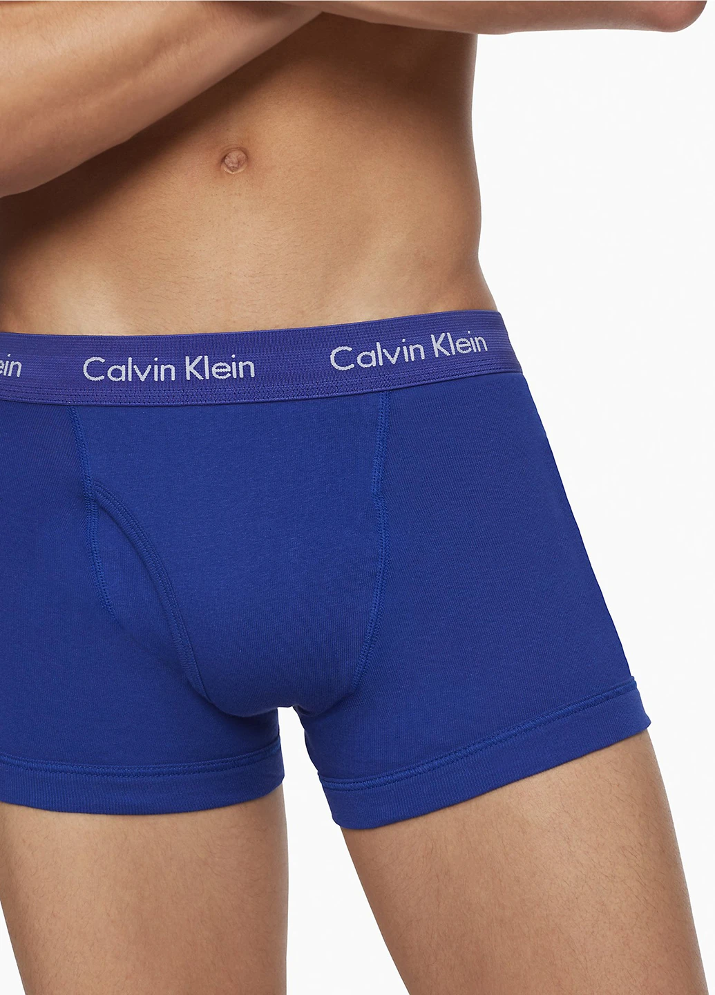 Труси (5 шт.) Calvin Klein (256797437)