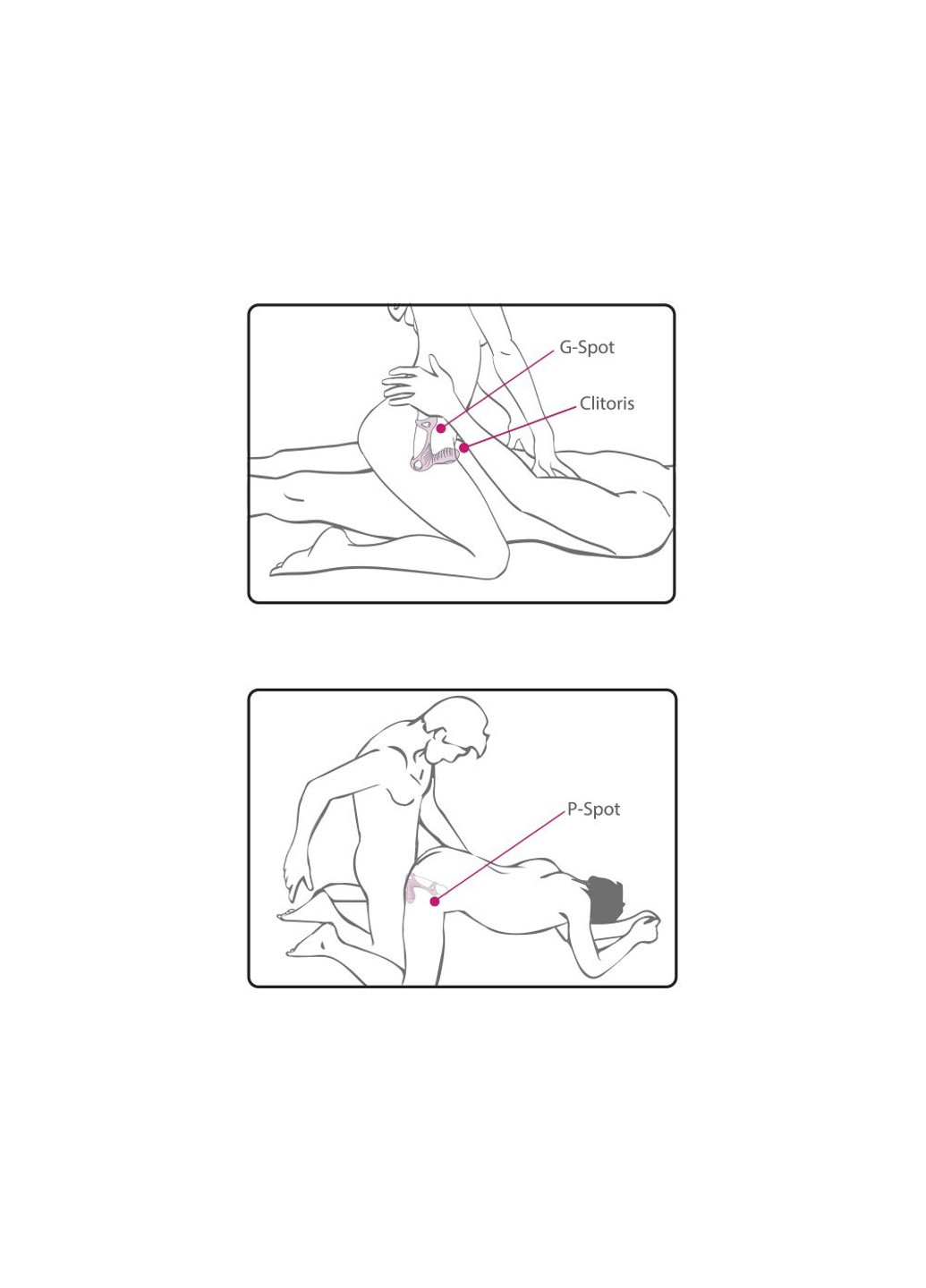 Насадка на член з вібрацією Gladiator з пультом LRS, два мотора Adrien Lastic (254953768)