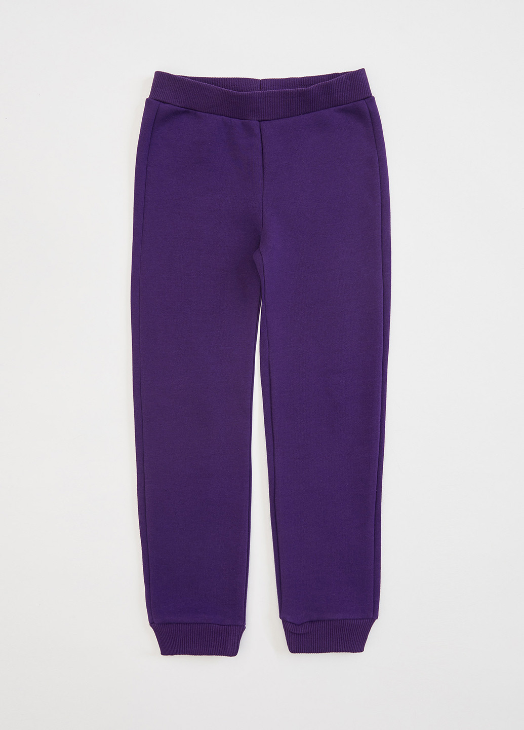 Темно-фиолетовые спортивные демисезонные джоггеры брюки DeFacto
