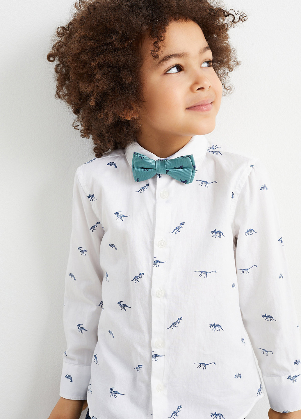 Бабочка C&A (362157820)