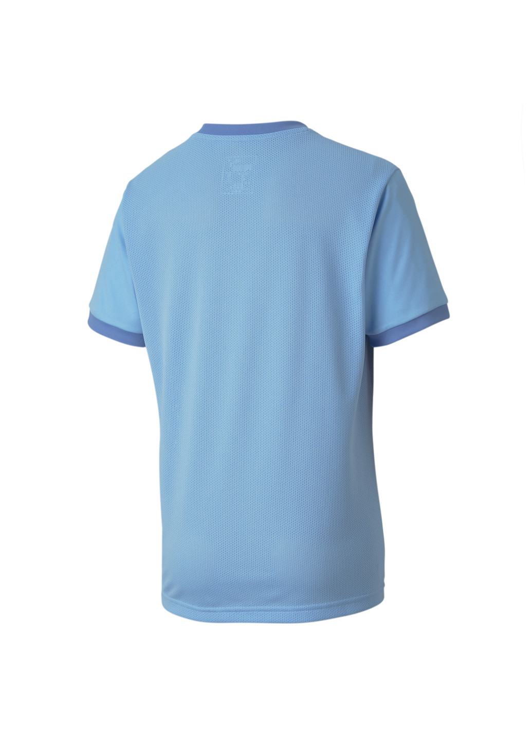 Синя демісезонна дитяча футболка teamgoal 23 jersey jr Puma