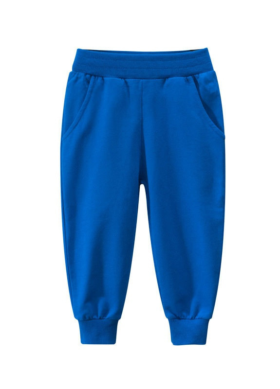 Синие спортивные демисезонные брюки 27 KIDS