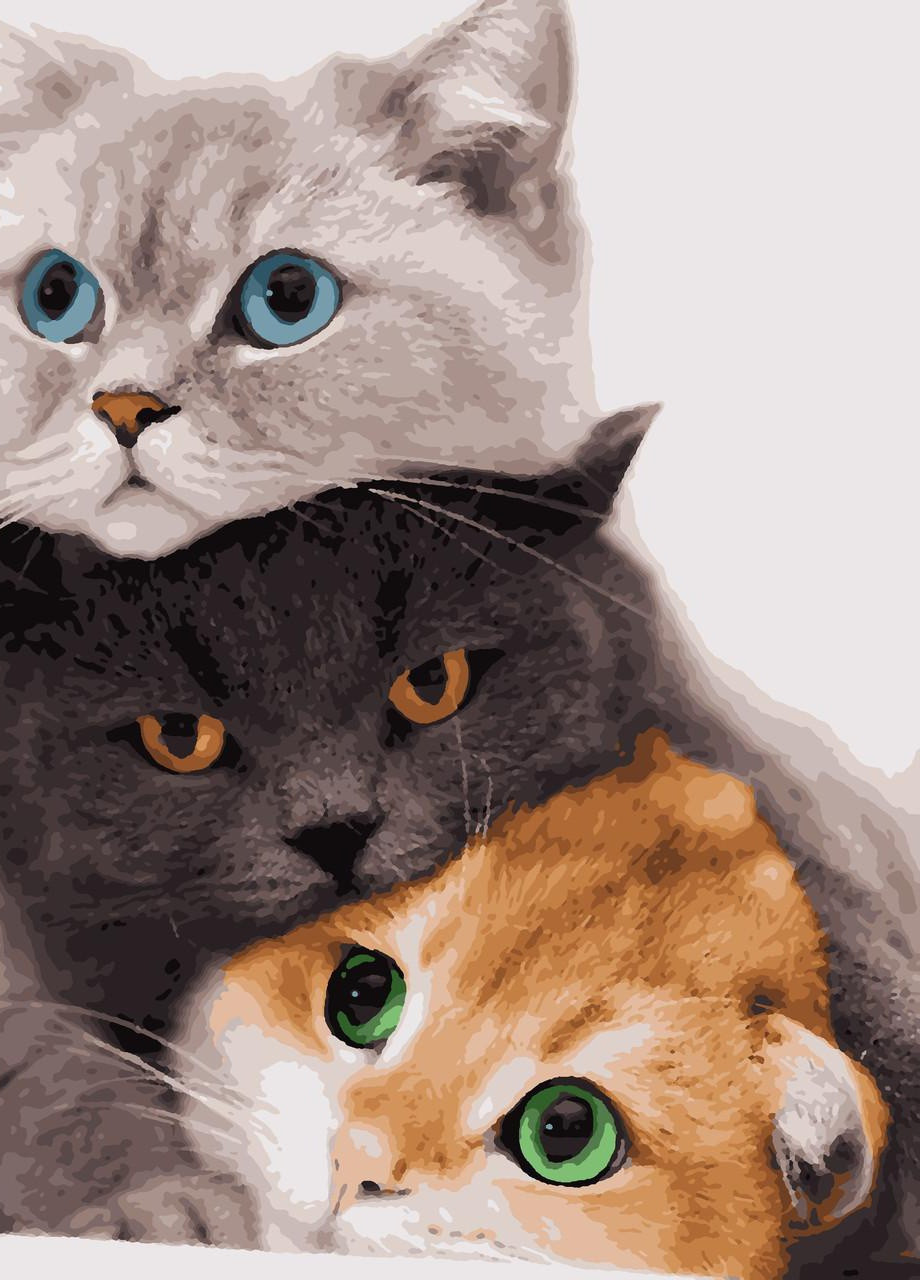 Картины по номерам "Три кота" 40*50 см No Brand (254584052)