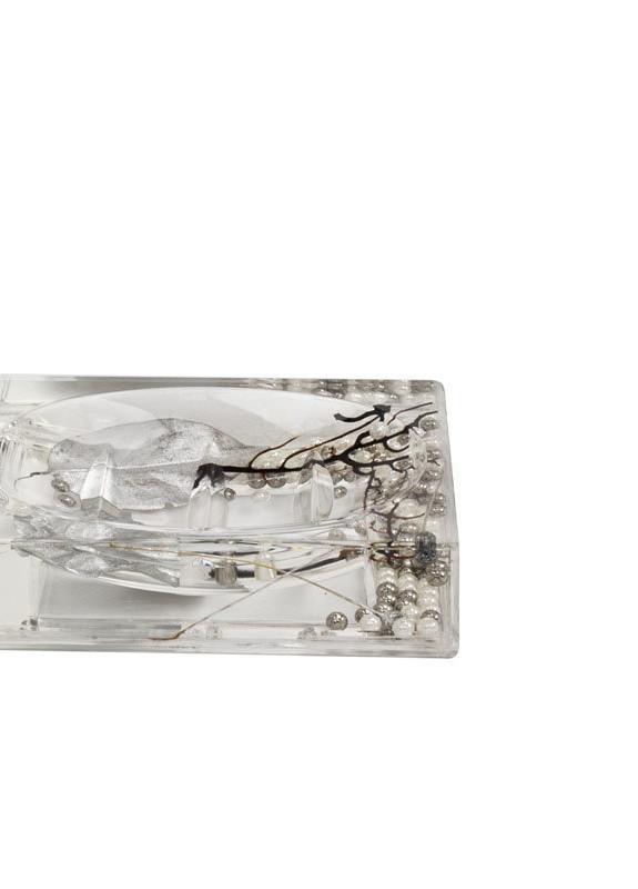 Мыльница Trento Pearl (37086) Trento Design Studio (253743895)